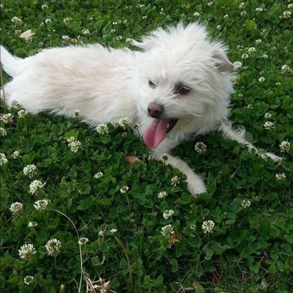 Meet Your Posher, Melody. - Picture 3 of 7